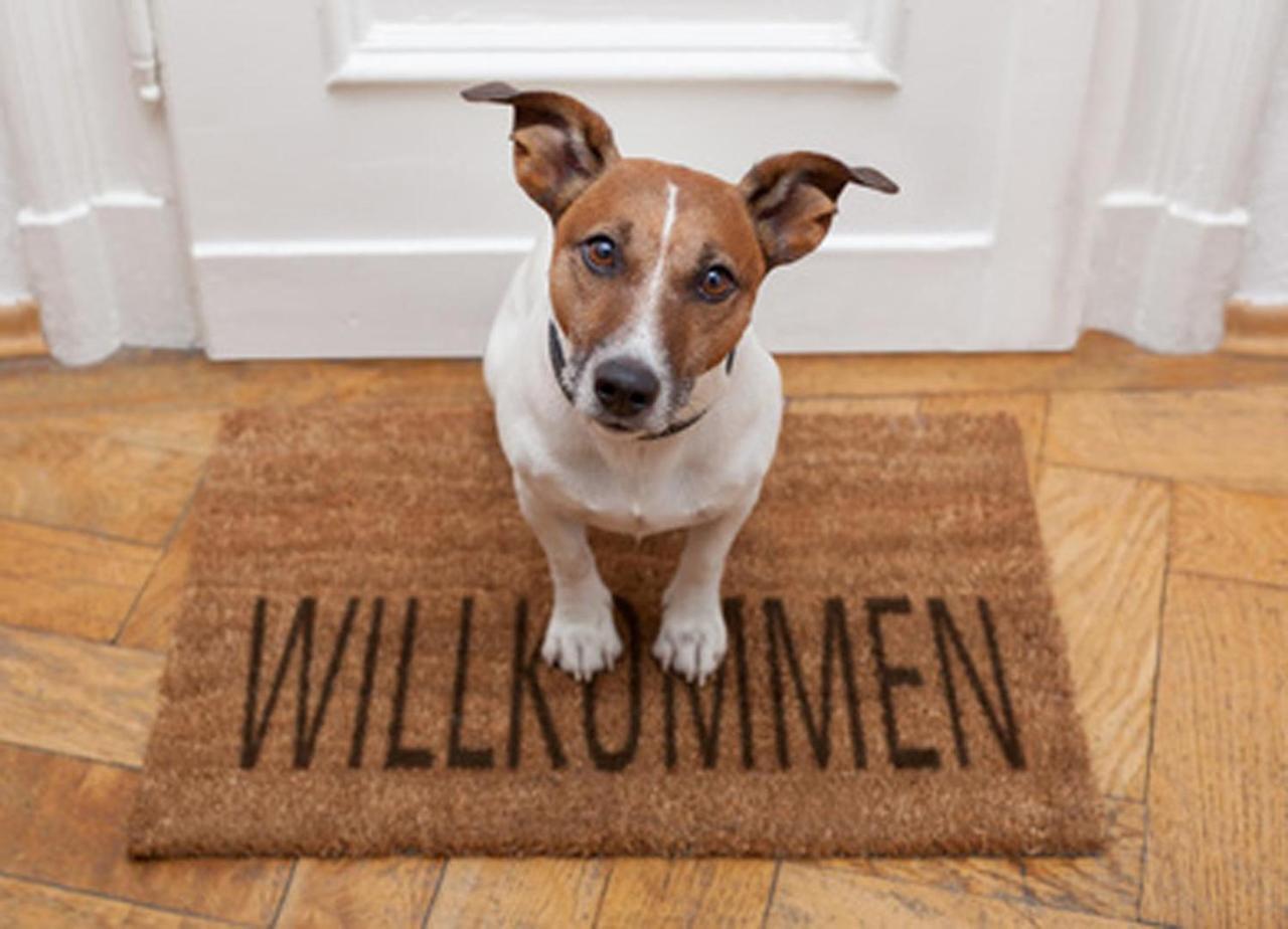 Wohnung Sanke Seeblick Heringsdorf  Exteriör bild